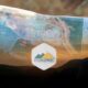 Siapa Pemilik PT Gag Nikel? Penambang di Balik Surga Raja Ampat