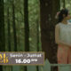 Sinopsis Original Series Vision+ di RCTI Royal Blood Eps 3: Dilema Antara Jodoh Pilihan Orang Tua Atau Mempertahankan Kekasih